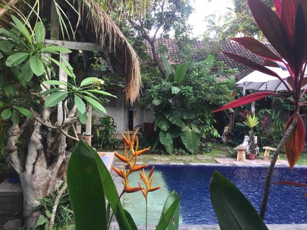 Pranajaya Villa Tejakula Exteriér fotografie